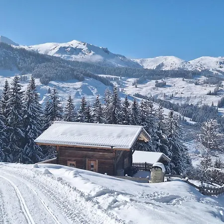 Holiday home Zum Feldalphorn Praedasten Wild605